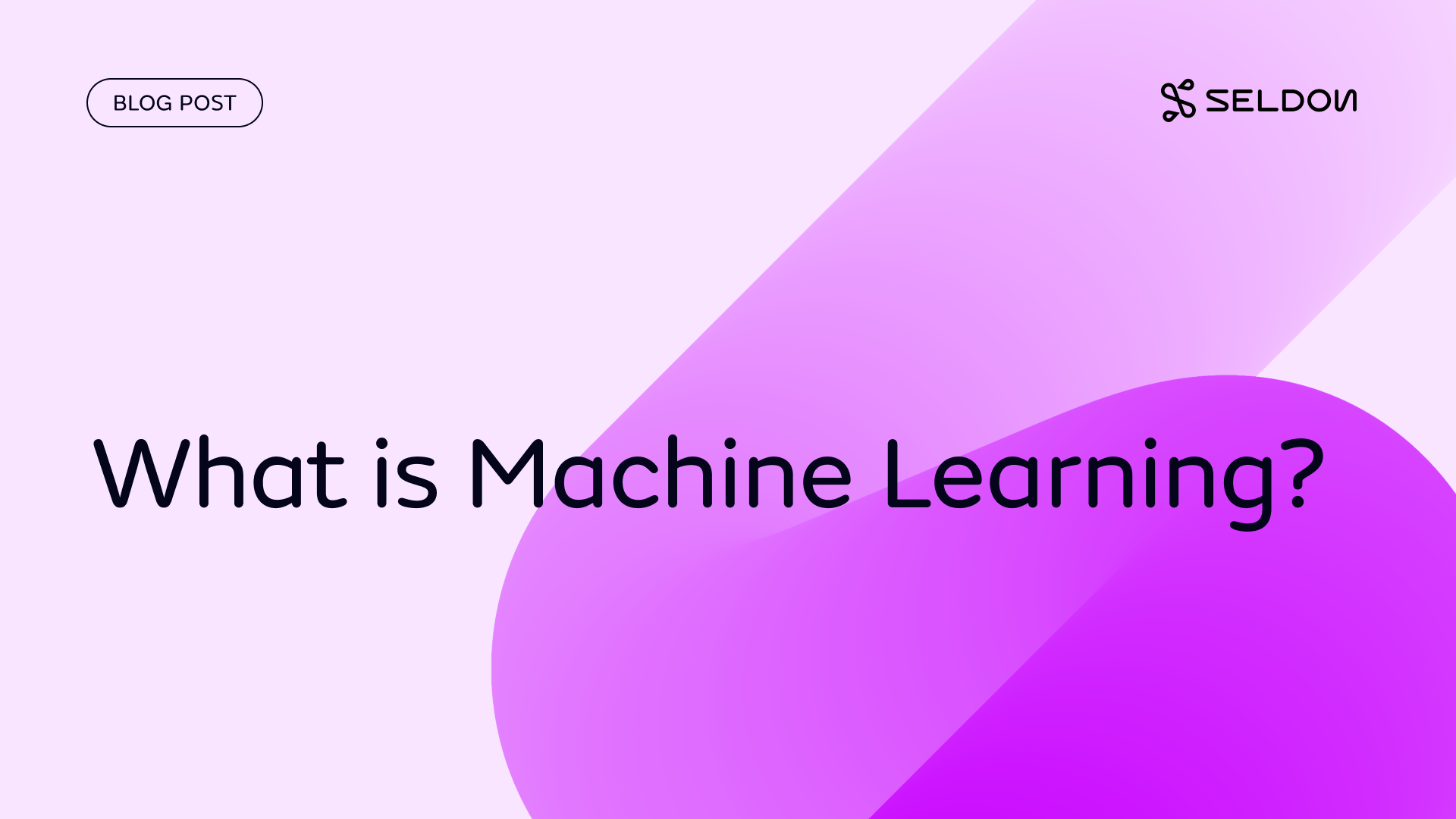 What is Machine Learning? Seldon