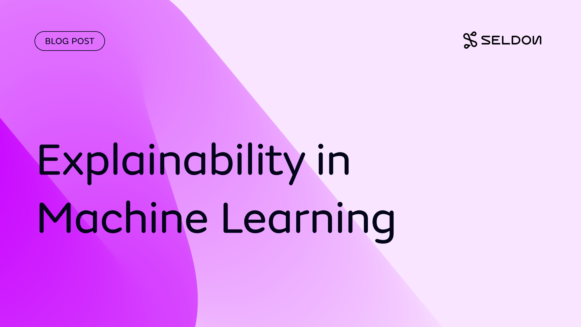 Explainability in Machine Learning