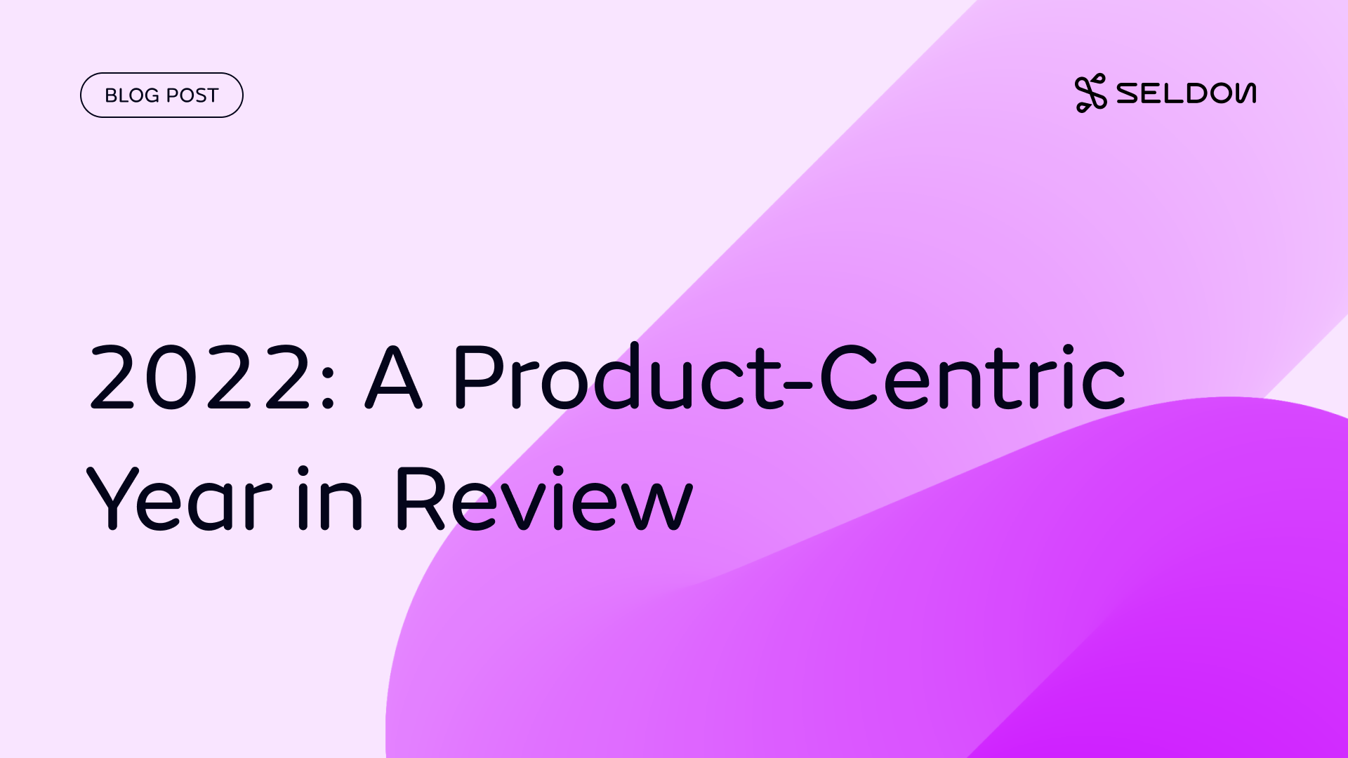 A Product-Centric Year in Review at Seldon