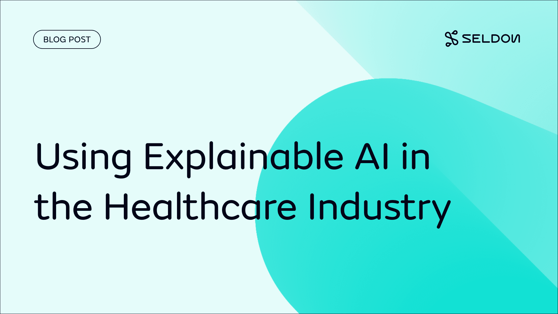Using Explainable AI (XAI) for Compliance and Trust in the Healthcare Industry